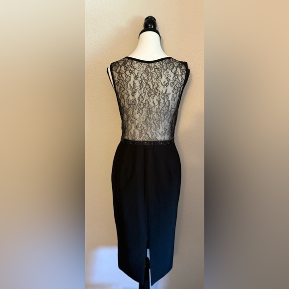 HELSI- Clara Plunge Black Lace Sheath Dress - Picture 5 of 6